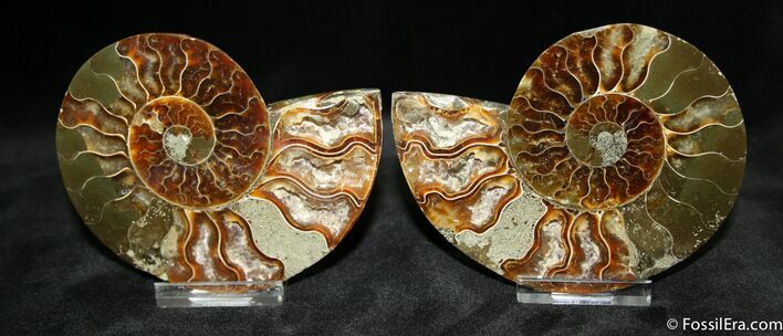 Inch Polished Pair From Madagascar #1283